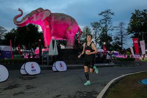 BIB: 
                            <button type="button" onclick="openModal(26529686)" class="btn btn-primary btn-sm float-right btn-popup" data-toggle="modal" data-target=".modal-high-quality">
                        <i class="fas fa-shopping-cart"></i> Add to Cart
                    </button>
                                            <button type="button" onclick="isThisMe(26529686, true)" class="btn btn-success btn-sm float-right btn-popup btn-isme hidden" data-toggle="tooltip" data-placement="bottom" title="นี่คือรูปของคุณใช่ไหม คลิกที่นี่เพื่อเอาเข้าอัลบั้ม">
                        <i class="fas fa-plus"></i> Add to album
                    </button>
                    <button type="button" onclick="isThisMe(26529686, false)" class="btn btn-warning btn-sm float-right btn-popup btn-isnotme hidden">
                        <i class="fas fa-ban"></i> Remove from album
                    </button>